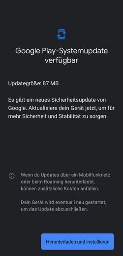 Screenshot_20250701_044035_Google Play Store.jpg