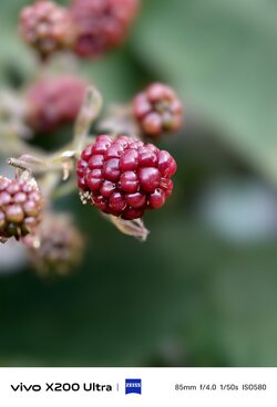 IMG_20250630_195412.jpeg