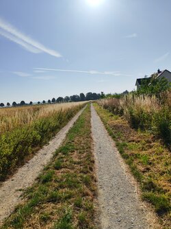 IMG_20250630_083442.jpg