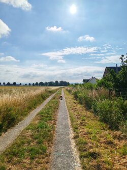 IMG_20250628_083735.jpg