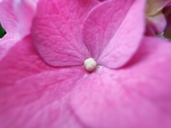 IMG_20250627_201048.jpg