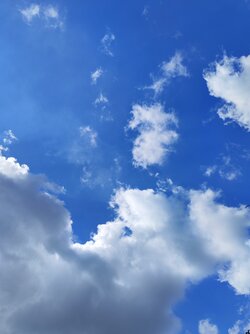IMG_20250629_122954.jpg