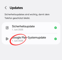 Screenshot_20250701_061338_Settings.png