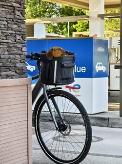 IMG_20250629_184746.jpg