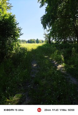 84.jpg