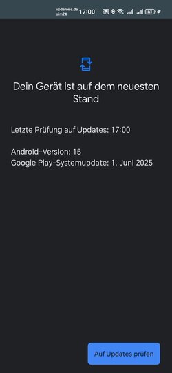 Screenshot_20250701_170027_com_android_vending_SystemUpdateActivity.jpg