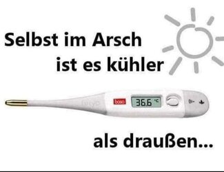 FB_IMG_1751385728366.jpg