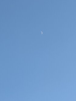 PXL_20250701_173717019.jpg