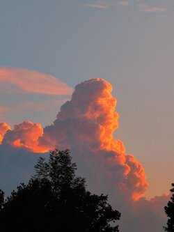 IMG20250701212431~2.jpg