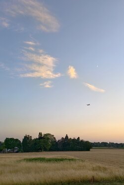 IMG_20250629_214902.jpg
