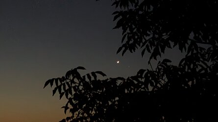 PXL_20250702_013545077.jpg