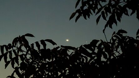 PXL_20250702_013656272.NIGHT.jpg