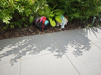 15U_IMG20250614_162219.jpg