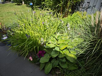 15U_IMG20250629_121752.jpg