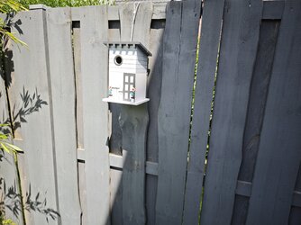 15U_IMG20250629_122217.jpg