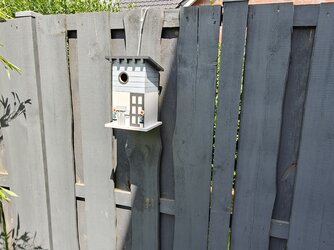FX8U_IMG20250629122226.jpg