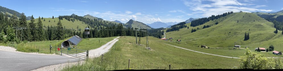 IMG_1383.jpeg