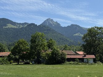 IMG_1379.jpeg