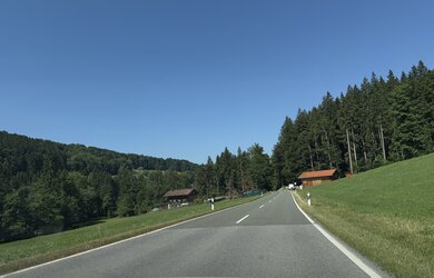 IMG_1353.jpeg