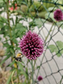 IMG20250702190806~2.jpg