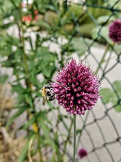 IMG20250702190808~2.jpg