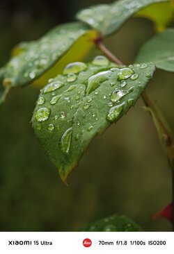 IMG_20250702_181531.jpeg