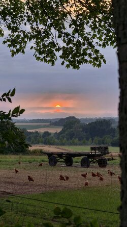 IMG_20250702_213934 (1).jpg