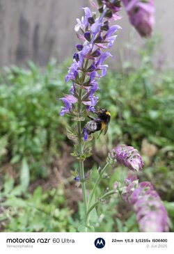 IMG_20250702_155552587.jpg