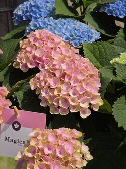 20250703_132724.jpg