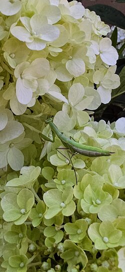 20250703_172442~2.jpg