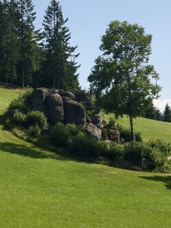 IMG_20250630_093841.jpg