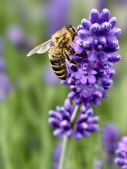 IMG_20250703_163549.jpg