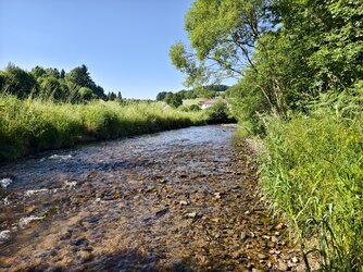 IMG_20250702_170649.jpg