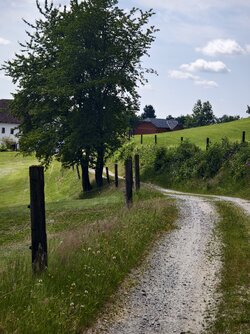 IMG_20250630_103048.jpg