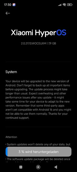Screenshot_2025-07-04-17-30-19-524_com.android.updater.jpg