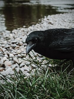 IMG_20250704_205323.jpg