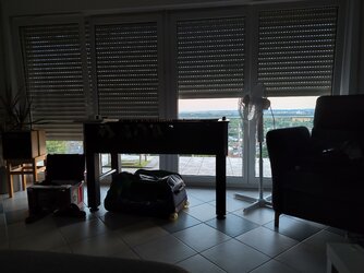 IMG_20250704_210229_HDR.jpg