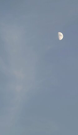 IMG_20250704_213759.jpg
