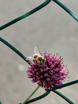 IMG20250704183518~2.jpg