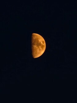 IMG_20250703_214924.jpg