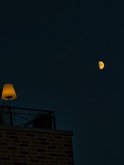 IMG_20250704_221214.jpg