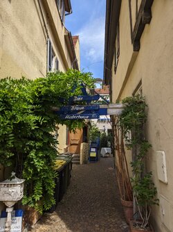 Gcam2 20250705_121835686.jpg