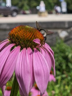 Gcam2 20250705_121001984.jpg