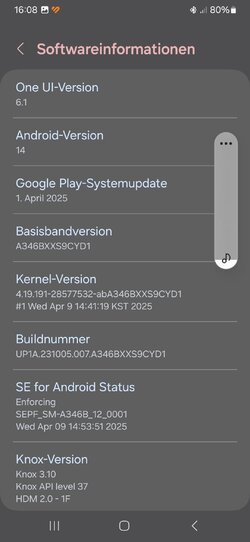 Screenshot_20250705_160838_Settings.jpg