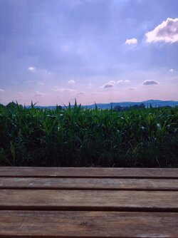 IMG20250705164845~2.jpg