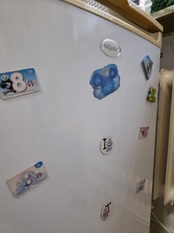 20250705_205156.jpg