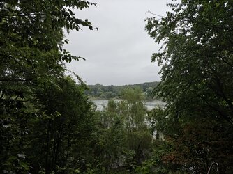 IMG_20250706_133054713_HDR.jpg