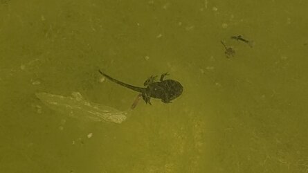 PXL_20250706_154454078.jpg