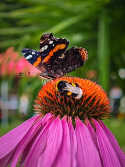 IMG_20250705_185612 (1).jpg