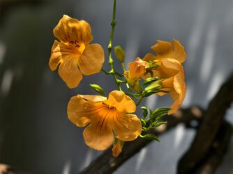 IMG_20250706_104647.jpg